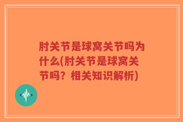 肘关节是球窝关节吗为什么(肘关节是球窝关节吗?相关知识解析)-第1张图片-超越 肘关节是球窝关节吗为什么(肘关节是球窝关节吗?相关知识解析)-第1张图片-超越