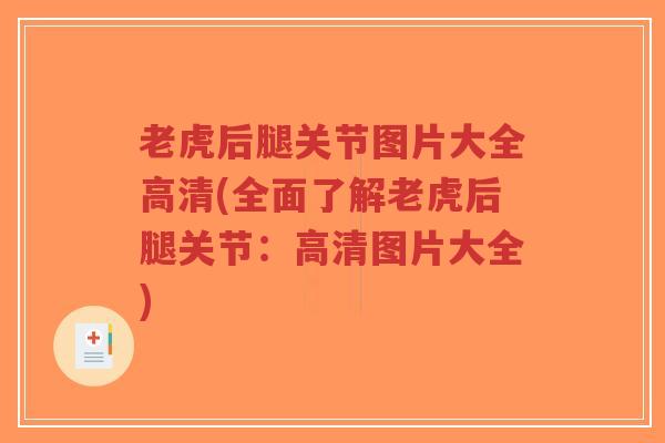 老虎后腿关节图片大全高清(全面了解老虎后腿关节:高清图片大全)-第1张图片-超越 老虎后腿关节图片大全高清(全面了解老虎后腿关节:高清图片大全)-第1张图片-超越