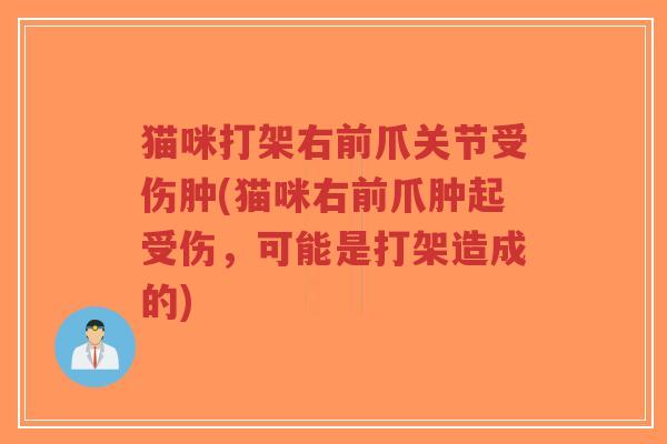 猫咪打架右前爪关节受伤肿(猫咪右前爪肿起受伤,可能是打架造成的)-第1张图片-超越 猫咪打架右前爪关节受伤肿(猫咪右前爪肿起受伤,可能是打架造成的)-第1张图片-超越