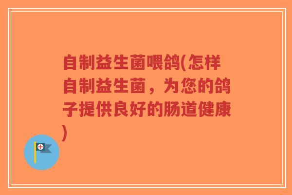 自制益生菌喂鸽(怎样自制益生菌,为您的鸽子提供良好的肠道健康)-第1张图片-超越 自制益生菌喂鸽(怎样自制益生菌,为您的鸽子提供良好的肠道健康)-第1张图片-超越