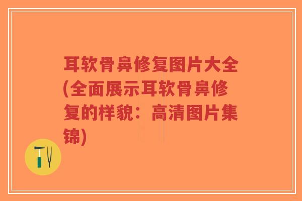 耳软骨鼻修复图片大全(全面展示耳软骨鼻修复的样貌:高清图片集锦)-第1张图片-超越 耳软骨鼻修复图片大全(全面展示耳软骨鼻修复的样貌:高清图片集锦)-第1张图片-超越