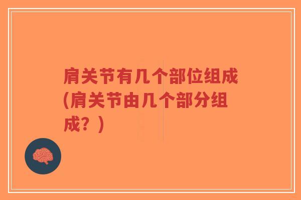 肩关节有几个部位组成(肩关节由几个部分组成?)-第1张图片-超越 肩关节有几个部位组成(肩关节由几个部分组成?)-第1张图片-超越