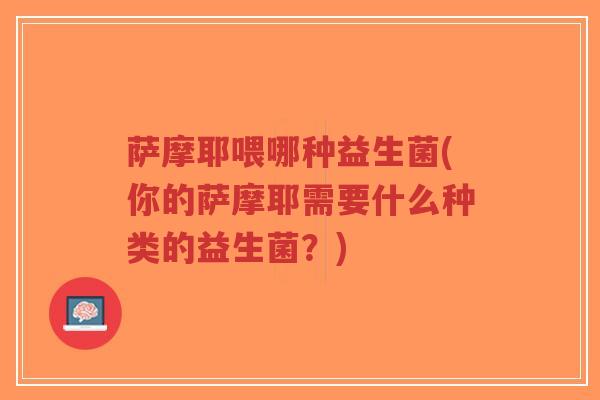 萨摩耶喂哪种益生菌(你的萨摩耶需要什么种类的益生菌?)-第1张图片-超越 萨摩耶喂哪种益生菌(你的萨摩耶需要什么种类的益生菌?)-第1张图片-超越
