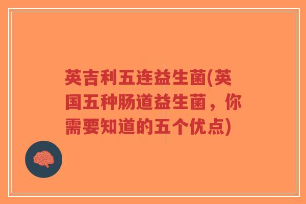 英吉利五连益生菌(英国五种肠道益生菌，你需要知道的五个优点)-第1张图片-超越