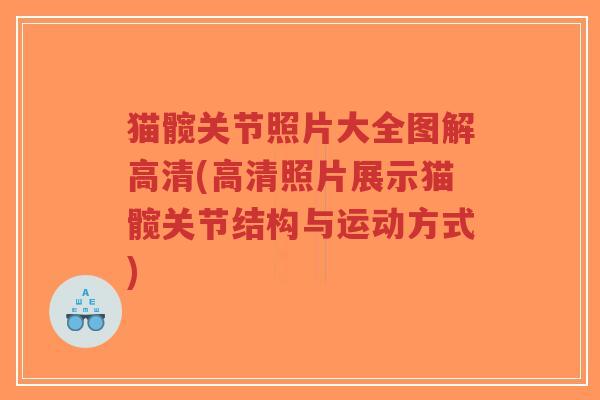 猫髋关节照片大全图解高清(高清照片展示猫髋关节结构与运动方式)-第1张图片-超越 猫髋关节照片大全图解高清(高清照片展示猫髋关节结构与运动方式)-第1张图片-超越
