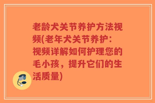 老龄犬关节养护方法视频(老年犬关节养护:视频详解如何护理您的毛小孩,提升它们的生活质量)-第1张图片-超越 老龄犬关节养护方法视频(老年犬关节养护:视频详解如何护理您的毛小孩,提升它们的生活质量)-第1张图片-超越