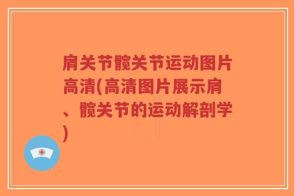 肩关节髋关节运动图片高清(高清图片展示肩、髋关节的运动解剖学)-第1张图片-超越 肩关节髋关节运动图片高清(高清图片展示肩、髋关节的运动解剖学)-第1张图片-超越