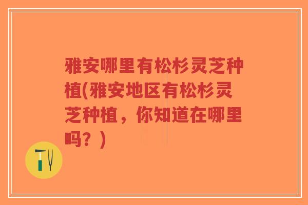 雅安哪里有松杉灵芝种植(雅安地区有松杉灵芝种植,你知道在哪里吗?)-第1张图片-超越 雅安哪里有松杉灵芝种植(雅安地区有松杉灵芝种植,你知道在哪里吗?)-第1张图片-超越