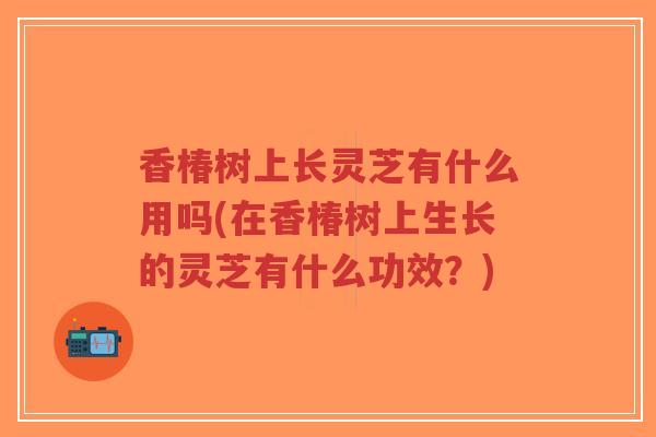香椿树上长灵芝有什么用吗(在香椿树上生长的灵芝有什么功效?)-第1张图片-超越 香椿树上长灵芝有什么用吗(在香椿树上生长的灵芝有什么功效?)-第1张图片-超越