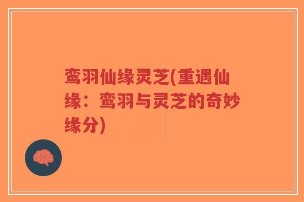 鸾羽仙缘灵芝(重遇仙缘:鸾羽与灵芝的奇妙缘分)-第1张图片-超越 鸾羽仙缘灵芝(重遇仙缘:鸾羽与灵芝的奇妙缘分)-第1张图片-超越