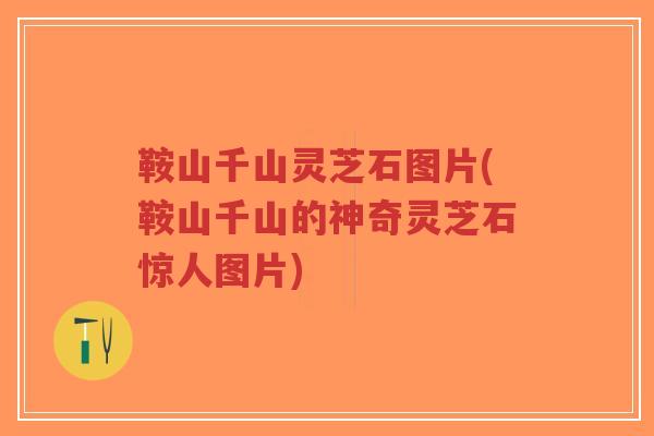 鞍山千山灵芝石图片(鞍山千山的神奇灵芝石惊人图片)-第1张图片-超越 鞍山千山灵芝石图片(鞍山千山的神奇灵芝石惊人图片)-第1张图片-超越