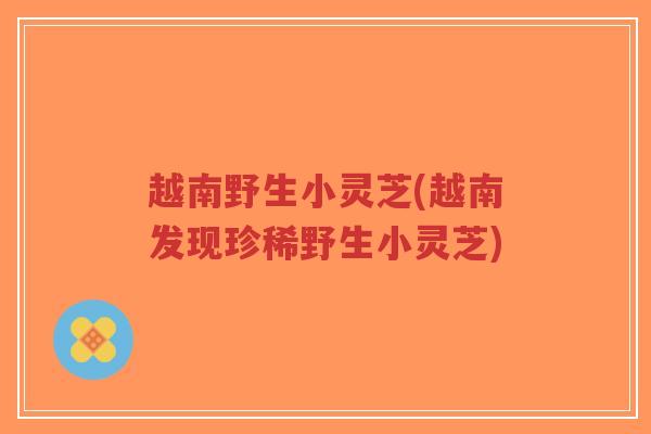 越南野生小灵芝(越南发现珍稀野生小灵芝)-第1张图片-超越 越南野生小灵芝(越南发现珍稀野生小灵芝)-第1张图片-超越
