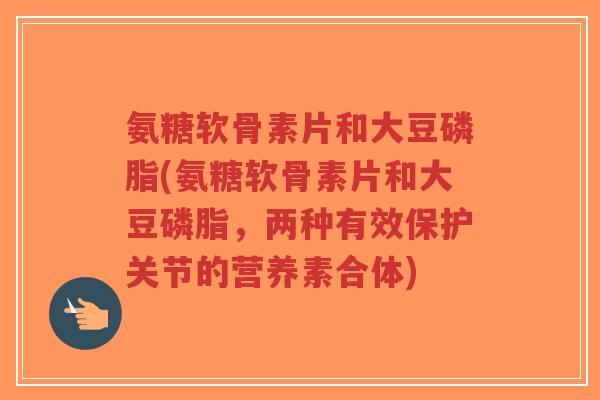 氨糖软骨素片和大豆磷脂(氨糖软骨素片和大豆磷脂,两种有效保护关节的营养素合体)-第1张图片-超越 氨糖软骨素片和大豆磷脂(氨糖软骨素片和大豆磷脂,两种有效保护关节的营养素合体)-第1张图片-超越