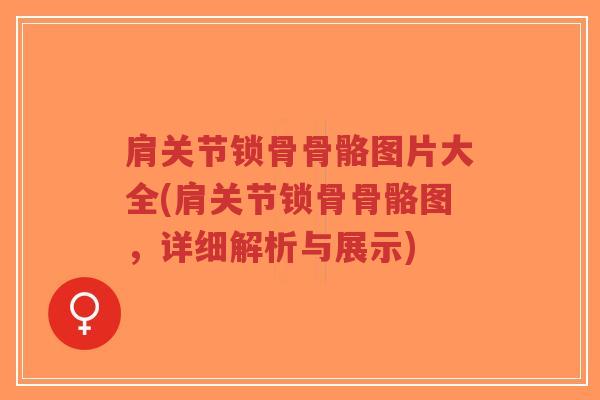 肩关节锁骨骨骼图片大全(肩关节锁骨骨骼图,详细解析与展示)-第1张图片-超越 肩关节锁骨骨骼图片大全(肩关节锁骨骨骼图,详细解析与展示)-第1张图片-超越