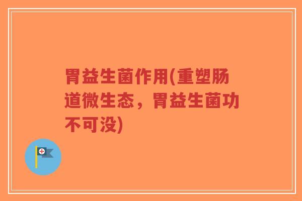 胃益生菌作用(重塑肠道微生态,胃益生菌功不可没)-第1张图片-超越 胃益生菌作用(重塑肠道微生态,胃益生菌功不可没)-第1张图片-超越