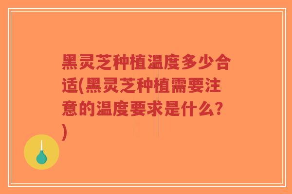 黑灵芝种植温度多少合适(黑灵芝种植需要注意的温度要求是什么?)-第1张图片-超越 黑灵芝种植温度多少合适(黑灵芝种植需要注意的温度要求是什么?)-第1张图片-超越