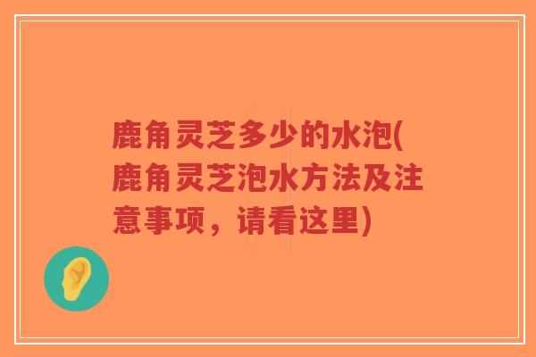 鹿角灵芝多少的水泡(鹿角灵芝泡水方法及注意事项,请看这里)-第1张图片-超越 鹿角灵芝多少的水泡(鹿角灵芝泡水方法及注意事项,请看这里)-第1张图片-超越
