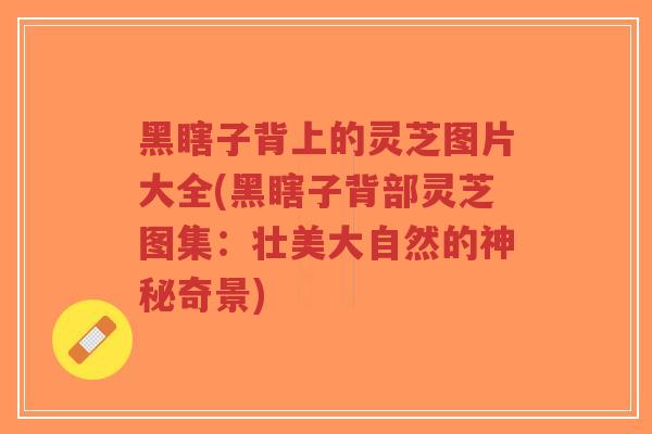 黑瞎子背上的灵芝图片大全(黑瞎子背部灵芝图集:壮美大自然的神秘奇景)-第1张图片-超越 黑瞎子背上的灵芝图片大全(黑瞎子背部灵芝图集:壮美大自然的神秘奇景)-第1张图片-超越