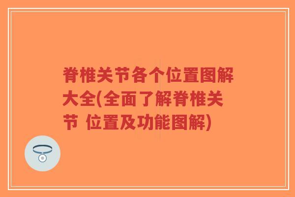 脊椎关节各个位置图解大全(全面了解脊椎关节 位置及功能图解)-第1张图片-超越