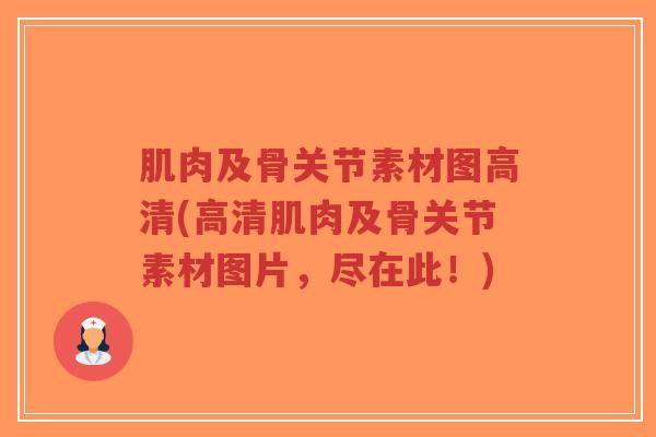 肌肉及骨关节素材图高清(高清肌肉及骨关节素材图片，尽在此！)-第1张图片-超越