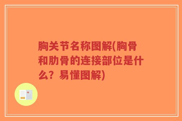 胸关节名称图解(胸骨和肋骨的连接部位是什么？易懂图解)-第1张图片-超越