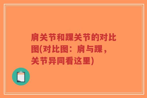 肩关节和踝关节的对比图(对比图:肩与踝,关节异同看这里)-第1张图片-超越 肩关节和踝关节的对比图(对比图:肩与踝,关节异同看这里)-第1张图片-超越