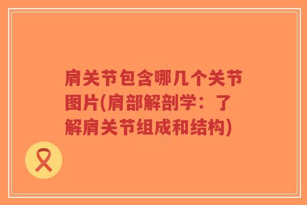 肩关节包含哪几个关节图片(肩部解剖学:了解肩关节组成和结构)-第1张图片-超越 肩关节包含哪几个关节图片(肩部解剖学:了解肩关节组成和结构)-第1张图片-超越