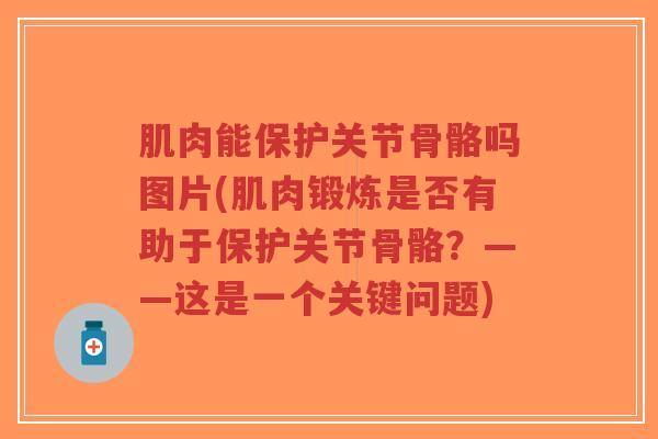 肌肉能保护关节骨骼吗图片(肌肉锻炼是否有助于保护关节骨骼？——这是一个关键问题)-第1张图片-超越