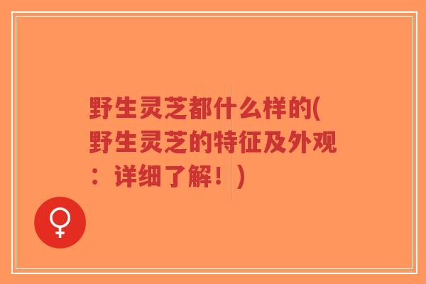 野生灵芝都什么样的(野生灵芝的特征及外观:详细了解!)-第1张图片-超越 野生灵芝都什么样的(野生灵芝的特征及外观:详细了解!)-第1张图片-超越