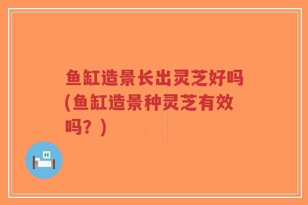 鱼缸造景长出灵芝好吗(鱼缸造景种灵芝有效吗?)-第1张图片-超越 鱼缸造景长出灵芝好吗(鱼缸造景种灵芝有效吗?)-第1张图片-超越