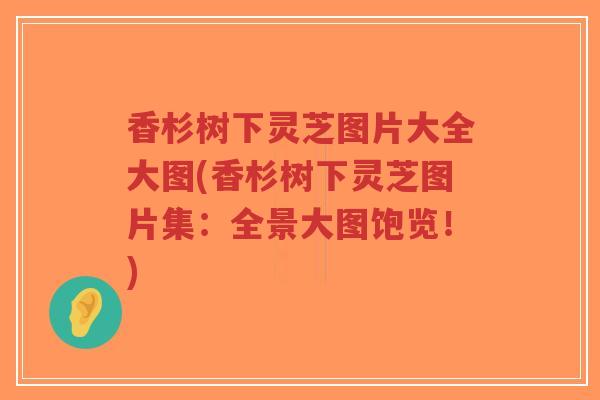 香杉树下灵芝图片大全大图(香杉树下灵芝图片集:全景大图饱览!)-第1张图片-超越 香杉树下灵芝图片大全大图(香杉树下灵芝图片集:全景大图饱览!)-第1张图片-超越