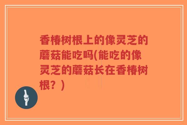 香椿树根上的像灵芝的蘑菇能吃吗(能吃的像灵芝的蘑菇长在香椿树根?)-第1张图片-超越 香椿树根上的像灵芝的蘑菇能吃吗(能吃的像灵芝的蘑菇长在香椿树根?)-第1张图片-超越
