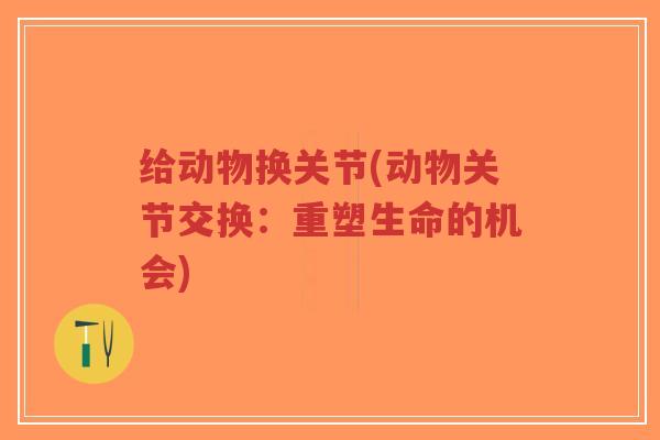 给动物换关节(动物关节交换:重塑生命的机会)-第1张图片-超越 给动物换关节(动物关节交换:重塑生命的机会)-第1张图片-超越