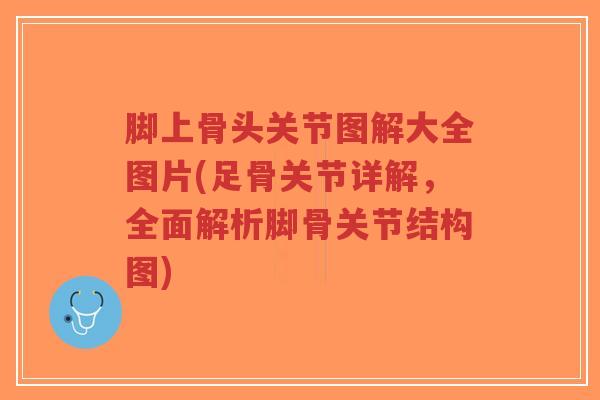 脚上骨头关节图解大全图片(足骨关节详解,全面解析脚骨关节结构图)-第1张图片-超越 脚上骨头关节图解大全图片(足骨关节详解,全面解析脚骨关节结构图)-第1张图片-超越