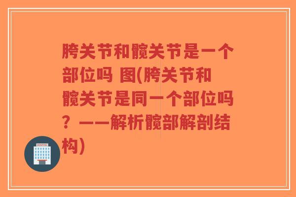 胯关节和髋关节是一个部位吗 图(胯关节和髋关节是同一个部位吗?——解析髋部解剖结构)-第1张图片-超越 胯关节和髋关节是一个部位吗 图(胯关节和髋关节是同一个部位吗?——解析髋部解剖结构)-第1张图片-超越