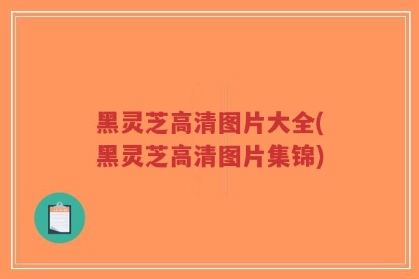 黑灵芝高清图片大全(黑灵芝高清图片集锦)-第1张图片-超越 黑灵芝高清图片大全(黑灵芝高清图片集锦)-第1张图片-超越