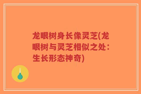 龙眼树身长像灵芝(龙眼树与灵芝相似之处:生长形态神奇)-第1张图片-超越 龙眼树身长像灵芝(龙眼树与灵芝相似之处:生长形态神奇)-第1张图片-超越