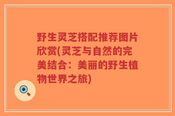 野生灵芝搭配推荐图片欣赏(灵芝与自然的完美结合:美丽的野生植物世界之旅)-第1张图片-超越 野生灵芝搭配推荐图片欣赏(灵芝与自然的完美结合:美丽的野生植物世界之旅)-第1张图片-超越