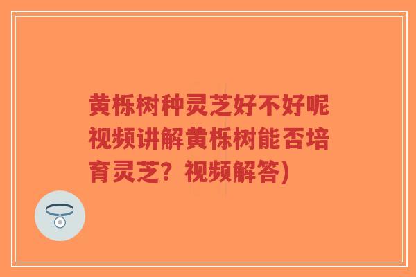 黄栎树种灵芝好不好呢视频讲解黄栎树能否培育灵芝？视频解答)-第1张图片-超越