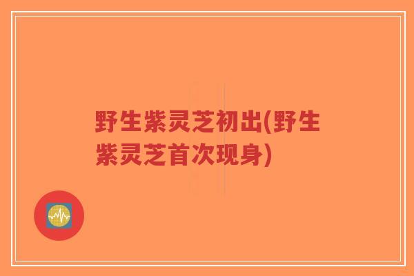 野生紫灵芝初出(野生紫灵芝首次现身)-第1张图片-超越 野生紫灵芝初出(野生紫灵芝首次现身)-第1张图片-超越