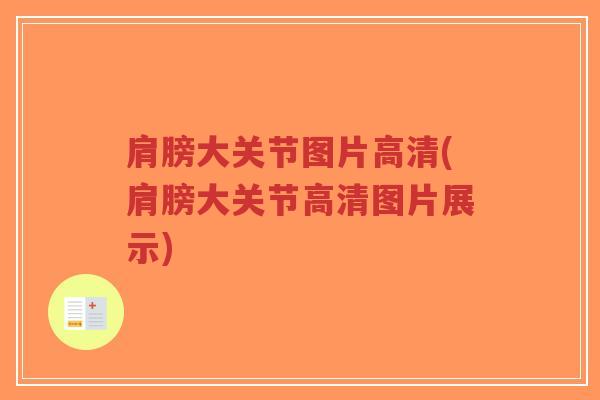 肩膀大关节图片高清(肩膀大关节高清图片展示)-第1张图片-超越 肩膀大关节图片高清(肩膀大关节高清图片展示)-第1张图片-超越