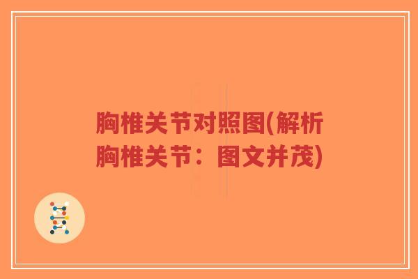 胸椎关节对照图(解析胸椎关节：图文并茂)-第1张图片-超越