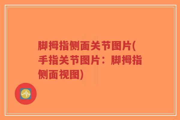 脚拇指侧面关节图片(手指关节图片:脚拇指侧面视图)-第1张图片-超越 脚拇指侧面关节图片(手指关节图片:脚拇指侧面视图)-第1张图片-超越