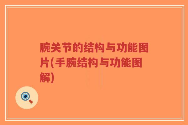 腕关节的结构与功能图片(手腕结构与功能图解)-第1张图片-超越 腕关节的结构与功能图片(手腕结构与功能图解)-第1张图片-超越