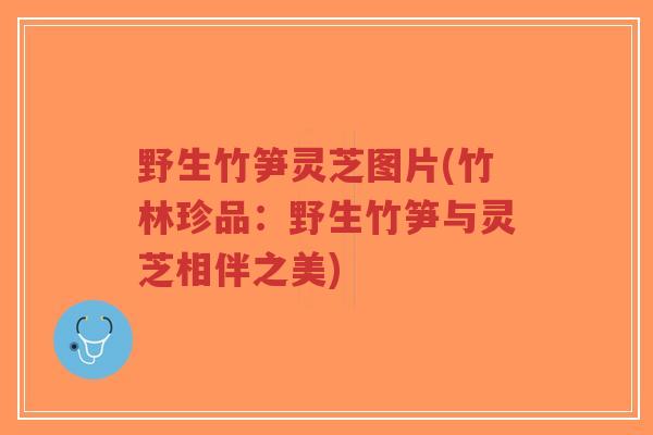 野生竹笋灵芝图片(竹林珍品:野生竹笋与灵芝相伴之美)-第1张图片-超越 野生竹笋灵芝图片(竹林珍品:野生竹笋与灵芝相伴之美)-第1张图片-超越