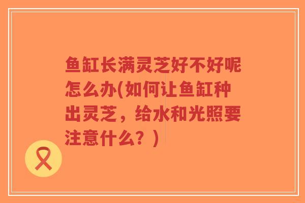 鱼缸长满灵芝好不好呢怎么办(如何让鱼缸种出灵芝,给水和光照要注意什么?)-第1张图片-超越 鱼缸长满灵芝好不好呢怎么办(如何让鱼缸种出灵芝,给水和光照要注意什么?)-第1张图片-超越