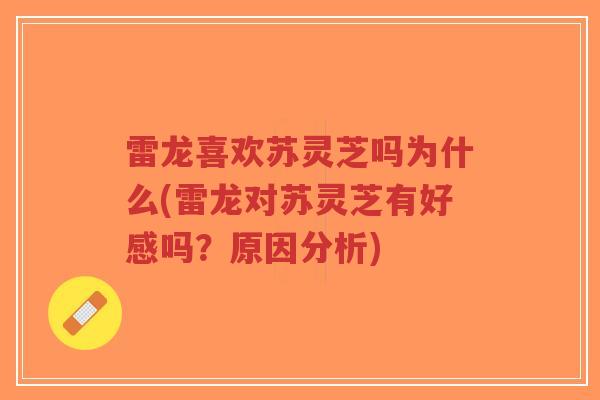 雷龙喜欢苏灵芝吗为什么(雷龙对苏灵芝有好感吗?原因分析)-第1张图片-超越 雷龙喜欢苏灵芝吗为什么(雷龙对苏灵芝有好感吗?原因分析)-第1张图片-超越