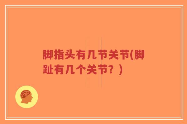 脚指头有几节关节(脚趾有几个关节?)-第1张图片-超越 脚指头有几节关节(脚趾有几个关节?)-第1张图片-超越