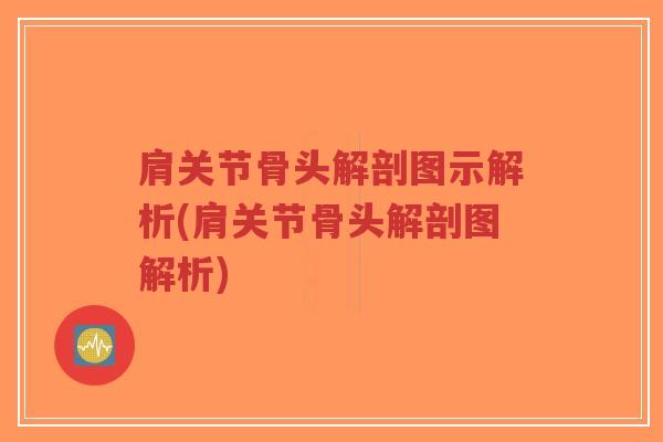 肩关节骨头解剖图示解析(肩关节骨头解剖图解析)-第1张图片-超越