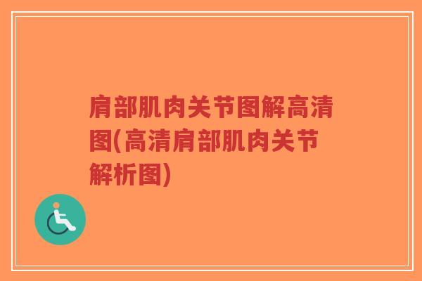 肩部肌肉关节图解高清图(高清肩部肌肉关节解析图)-第1张图片-超越 肩部肌肉关节图解高清图(高清肩部肌肉关节解析图)-第1张图片-超越